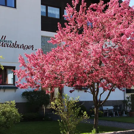 Gaestehaus Meusburger 3*