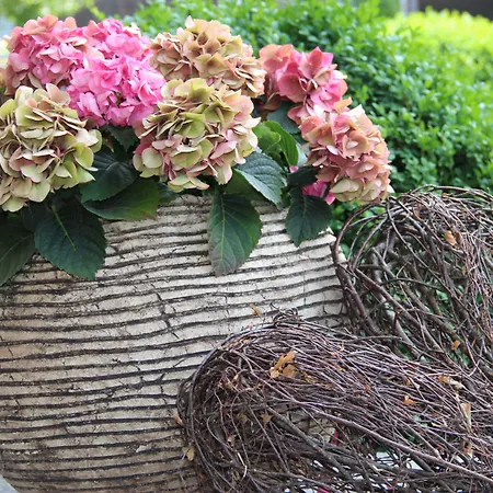 Hotel Gaestehaus Meusburger