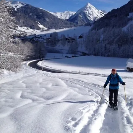 Gaestehaus Meusburger Hotel 3*