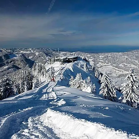 Hotel Gaestehaus Meusburger 3*