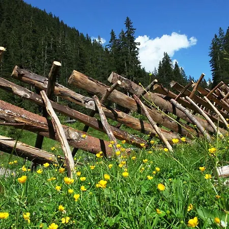 Gaestehaus Meusburger Hotel Bezau
